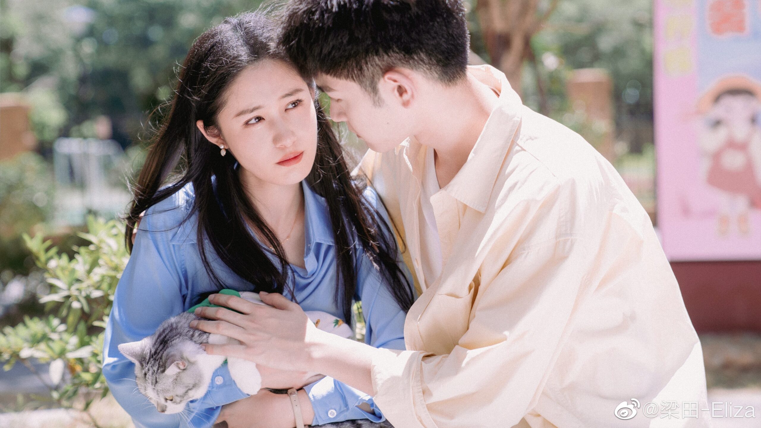 Fall in Love Again รีวิวหนัง